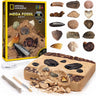NATIONAL GEOGRAPHIC Mega Fossil Dig Kit - Excavate 15 Prehistoric Fossils Including Dinosaur Bones & Shark Teeth, Educational Toys, Great Science Kit Gift for Girls and Boys (Amazon Exclusive)